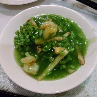 Őu