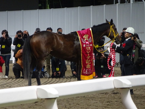 ���W�[�^�L�O