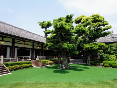 �����L�O��