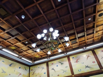 �V�����f���A�ƓV��