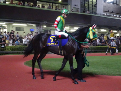 �}�R�g���N�T�m�z�R