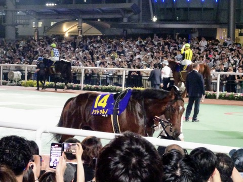 �m�b�g�D���m