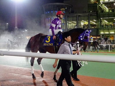 �V�V���t�H�X