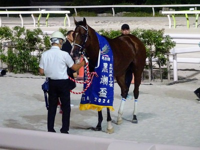 �_�e�m�V���E�O��