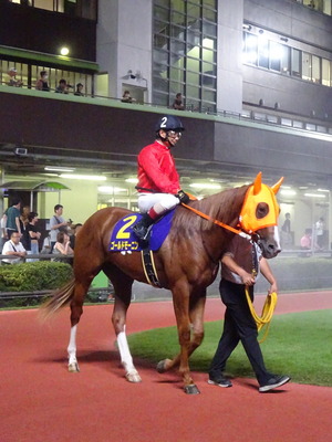 �S�[���h���[�j��