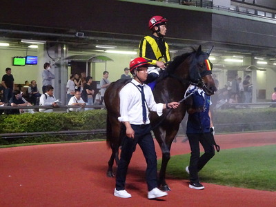 ���M���P�n��