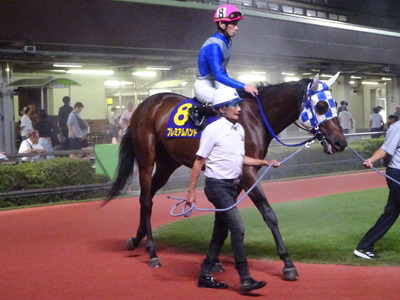 �v���~�A���n���h