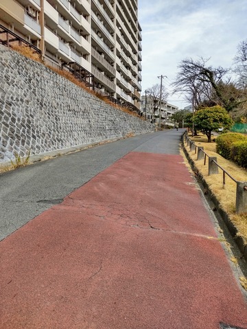 �o���Z�̓�