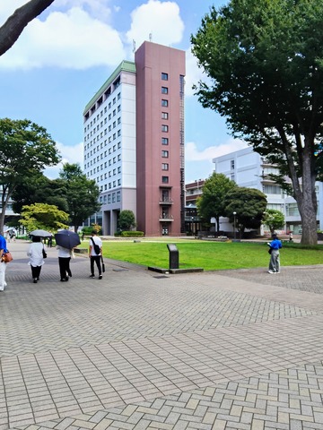 ������w�Q