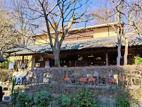 ��t�������[�厛