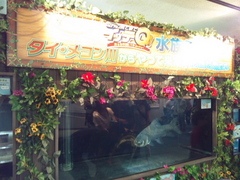 blog120614.jpg