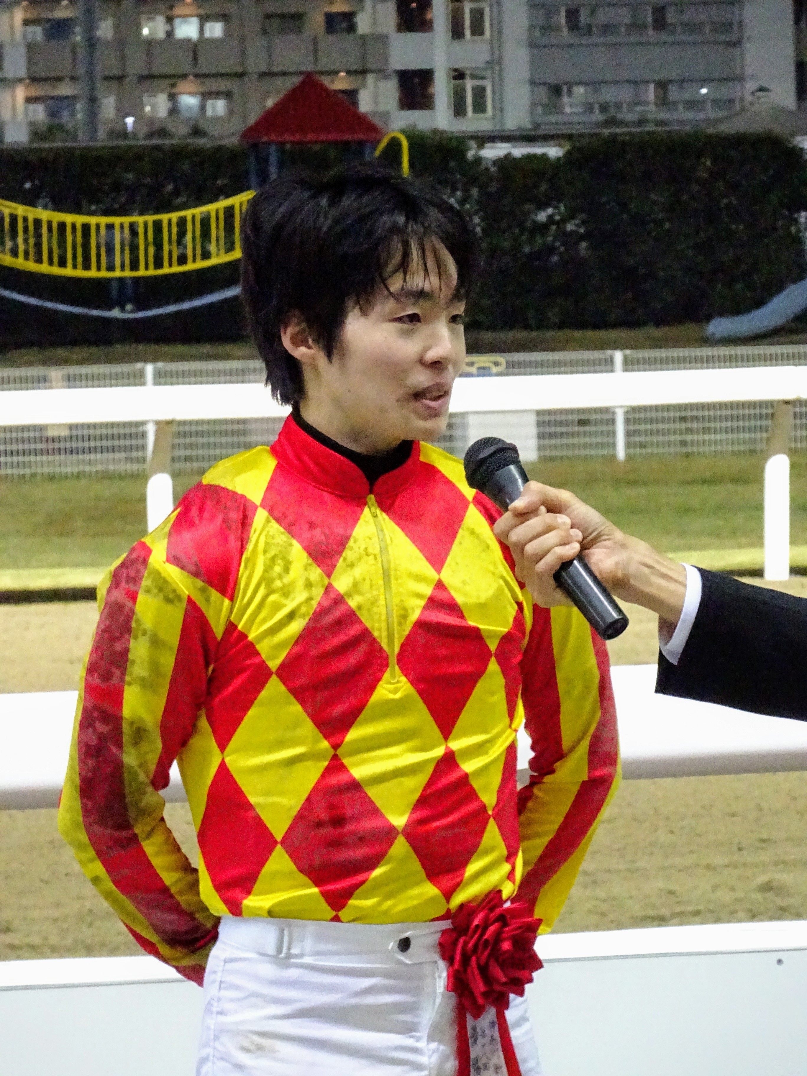 スマートフォン 南関 競馬