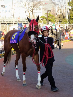 �N���C�W�[�A�N�Z��